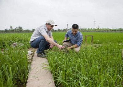 เวียดนามขยายความสัมพันธ์ร่วมมือและการพบปะทางการค้าระหว่างประเทศ